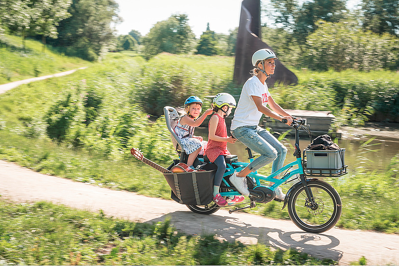 Tern sales bike gsd